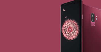 Top Selling Products