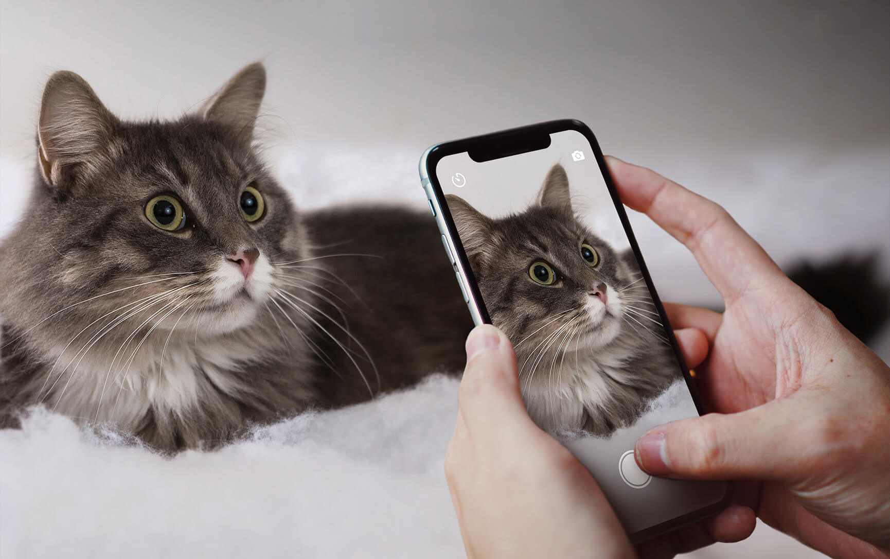 19 Things To Look Out For In A Smartphone Camera